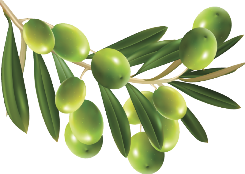 OLIVES - FERVALLE