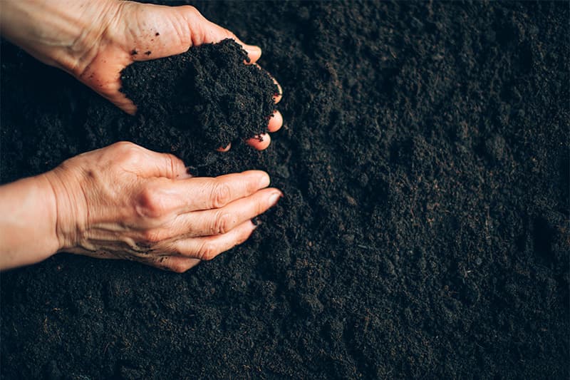 Ácidos Húmicos y Fúlvicos, la mejor opción para el suelo y la planta