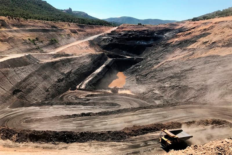 Leonardita, el potente bioestimulante ecológico