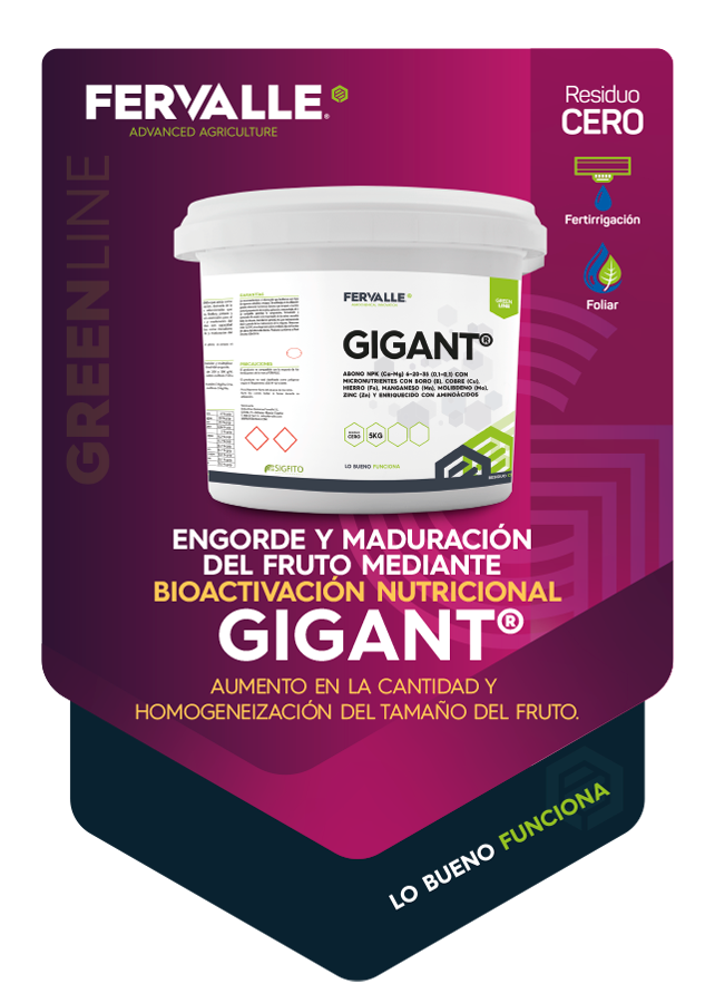 GIGANT