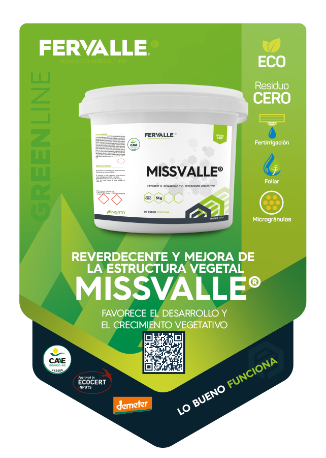 MISSVALLE