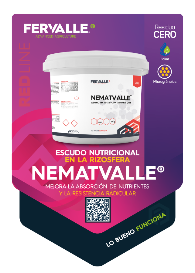 NEMATVALLE-TARJETA