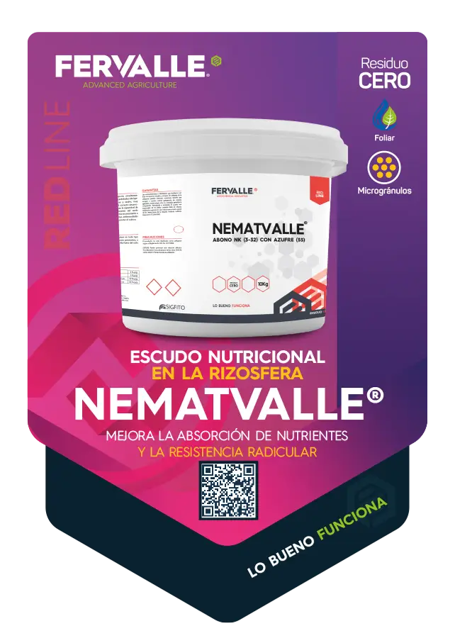 NEMATVALLE-TARJETA