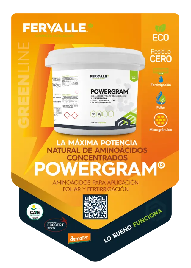 POWERGRAM-TARJETA