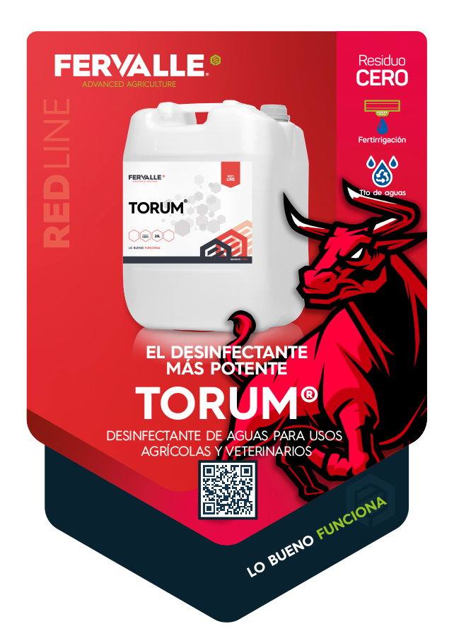 TORUM