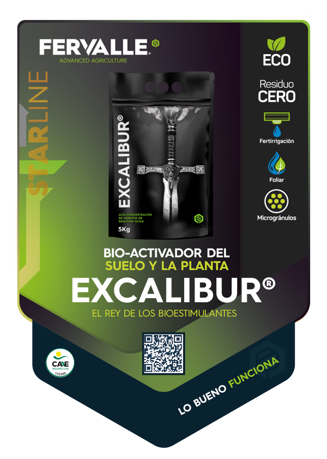 excalibur