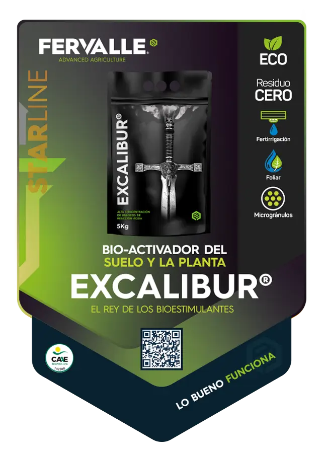 excalibur